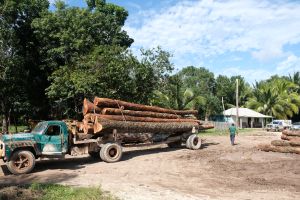 2. Selva Maya Foto Mark Van Benthem Probos (18)