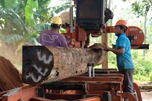 All Photos: © Mark van Benthem, Probos