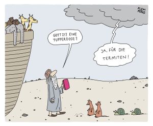 HvF Termiten