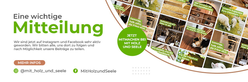 GURU Holz Newsletter SoMeAnzeige 800x267